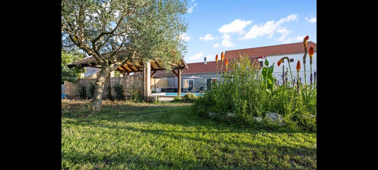 Olive Tree House With Jacuzzi, Wifi And 40M2 Pool Villa Siritovci Exterior photo