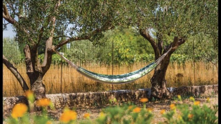 Olive Tree House With Jacuzzi, Wifi And 40M2 Pool Villa Siritovci Exterior photo